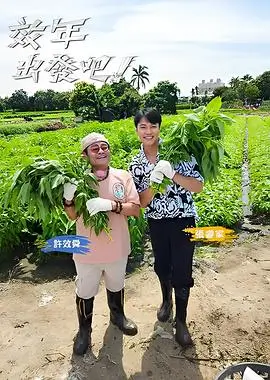 泽西海岸 综艺在线观看